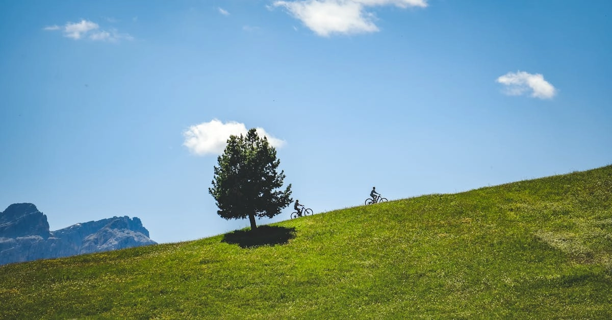découvrez les erreurs courantes en vtt que chaque cycliste doit éviter pour améliorer ses performances et profiter pleinement de ses sorties en montagne. apprenez à prévenir les chutes, à gérer votre équipement et à perfectionner votre technique pour des aventures en toute sécurité.