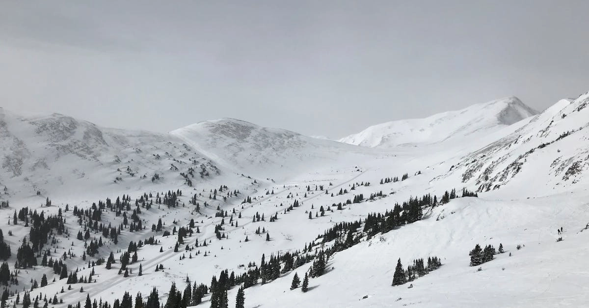 découvrez l'aventure ultime avec notre guide sur le ski off-piste. explorez des paysages enneigés vierges, maîtrisez les techniques de descente hors des pistes balisées et vivez des moments inoubliables au cœur de la nature. que vous soyez débutant ou expert, trouvez les meilleures destinations et conseils pour votre prochaine escapade en montagne.