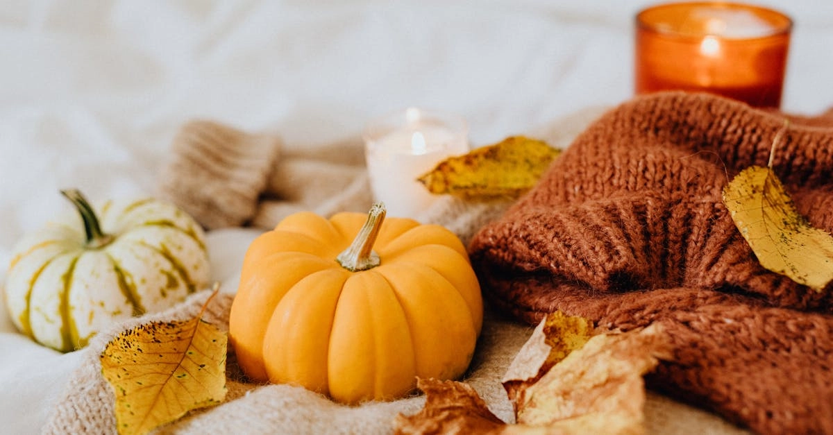 découvrez le confort inégalé de nos bottes rembourrées, conçues pour allier style et fonctionnalité. idéales pour affronter le froid tout en restant tendance, ces chaussures vous accompagneront dans toutes vos aventures.