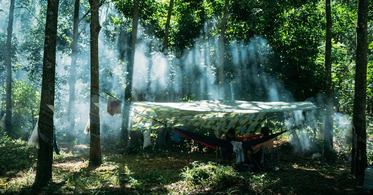 découvrez l'art du bivouac, une expérience unique de camping sous les étoiles. évadez-vous en pleine nature, apprenez les techniques essentielles pour passer une nuit inoubliable en extérieur et explorez les conseils pratiques pour un bivouac réussi.