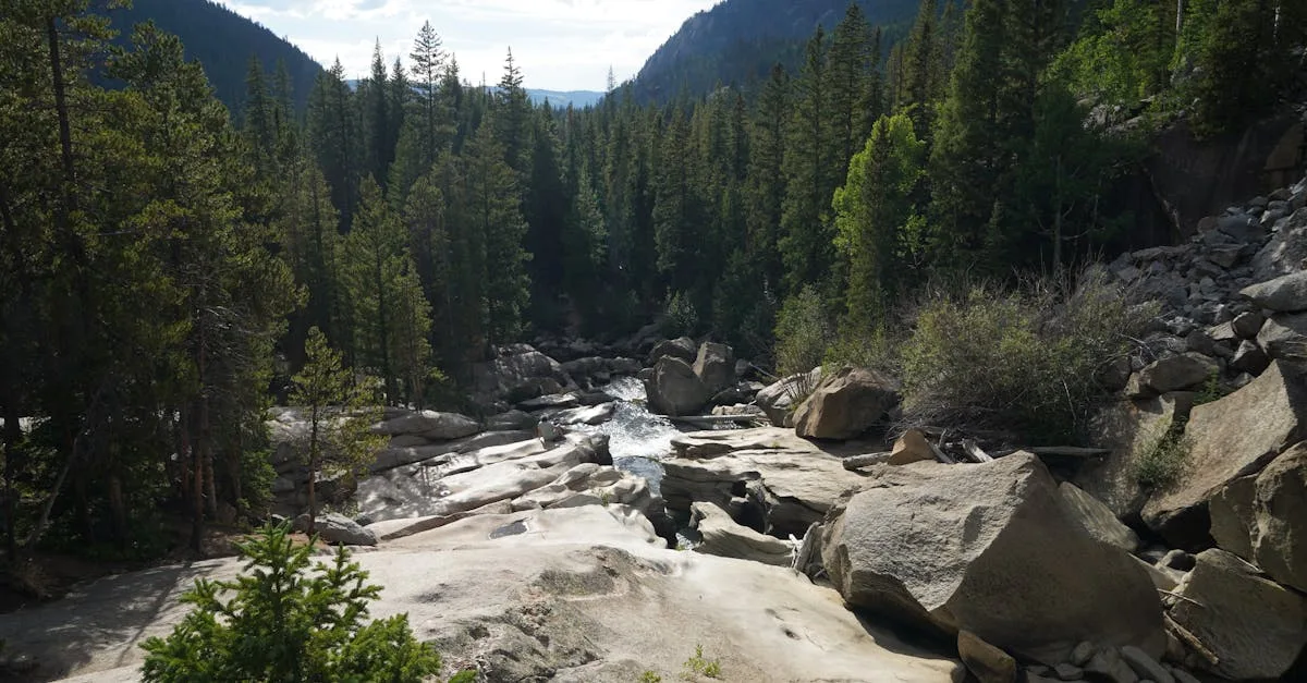 découvrez la randonnée hors-piste : explorez la nature sauvage, sortez des sentiers battus et vivez des aventures authentiques en dehors des parcours classiques. conseils et idées pour partir en off-trail hiking en toute sécurité.