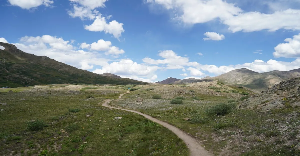 découvrez l'aventure de la randonnée hors sentier : explorez des paysages sauvages, trouvez des itinéraires inédits et vivez une expérience unique en pleine nature, loin des chemins balisés.