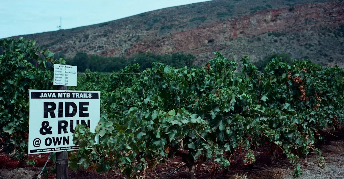 découvrez les techniques essentielles pour maîtriser les sentiers étroits en vtt et améliorer votre conduite en montagne.