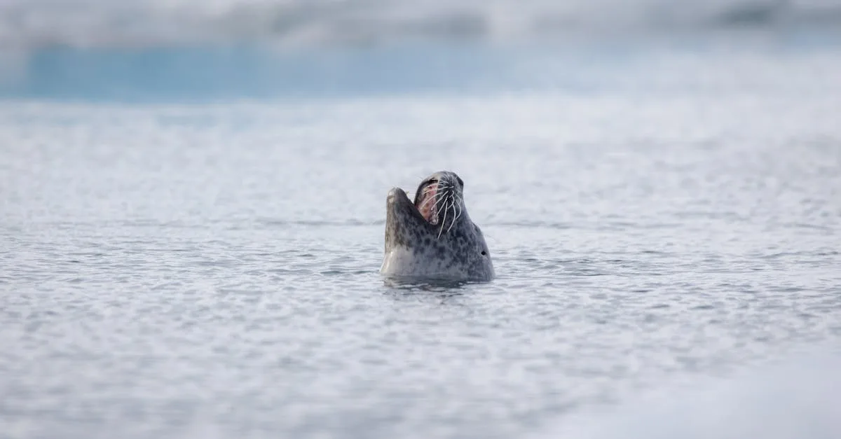découvrez des destinations incroyables pour les voyages en pleine nature, des conseils pour explorer les paysages naturels et vivre des aventures authentiques en harmonie avec l'environnement.