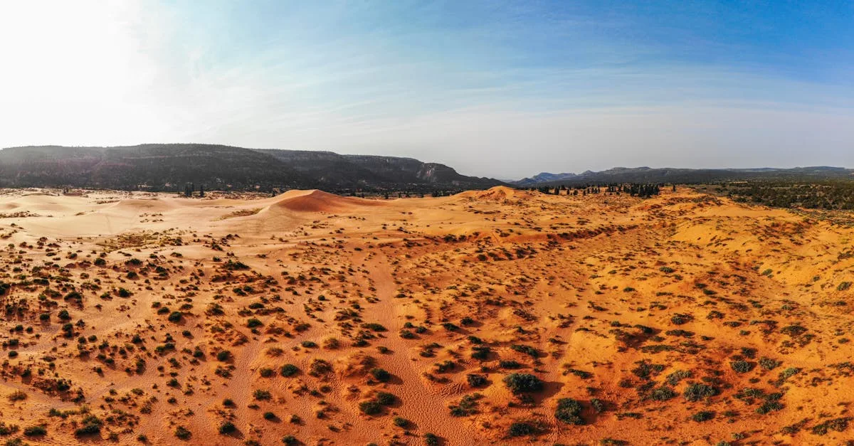 découvrez les merveilles du voyage nature : aventures en pleine nature, paysages époustouflants et expériences authentiques pour tous les amoureux de la nature.