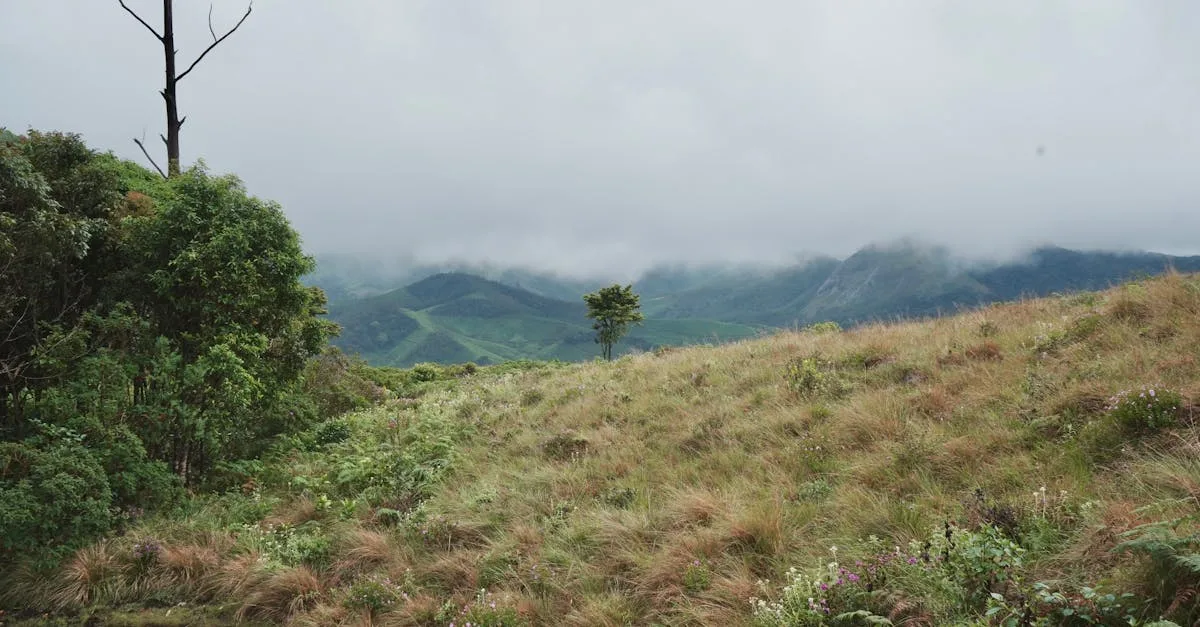 découvrez comment gérer une fracture de la clavicule lors d'une randonnée : symptômes, traitement et conseils pour une récupération optimale.