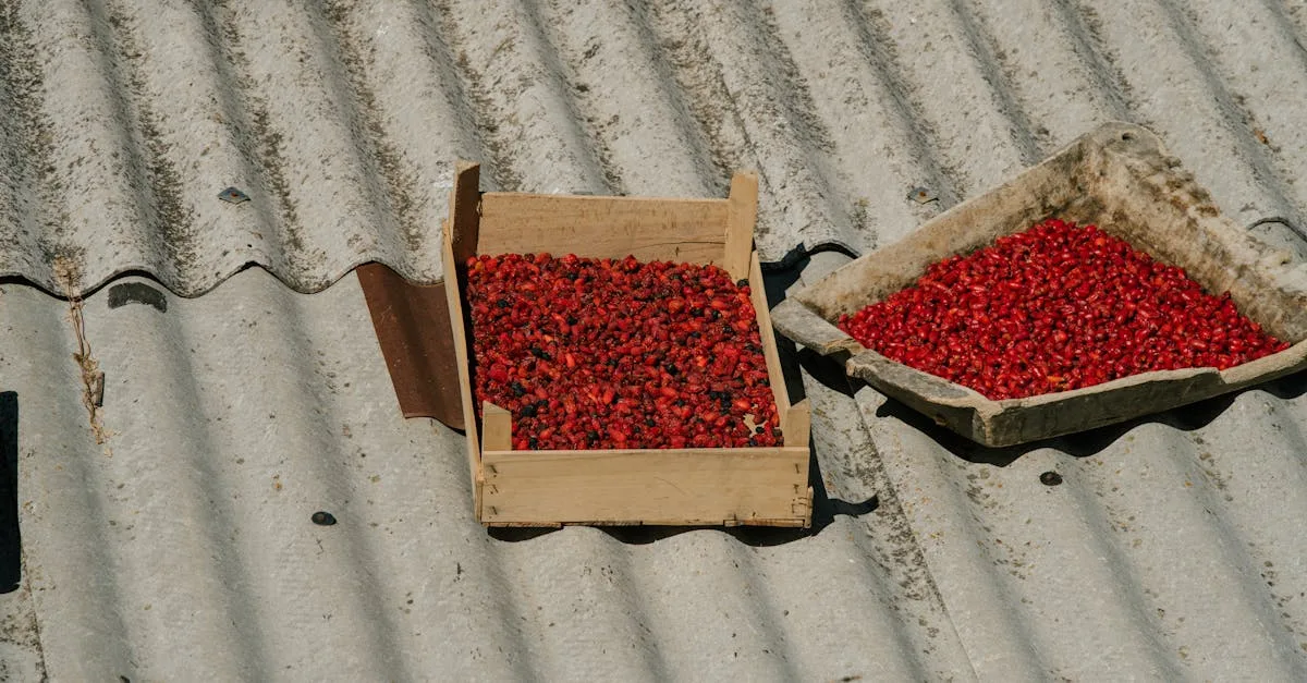 découvrez notre chili lyophilisé savoureux, parfait pour des repas rapides et nutritifs lors de vos aventures en plein air ou à la maison.