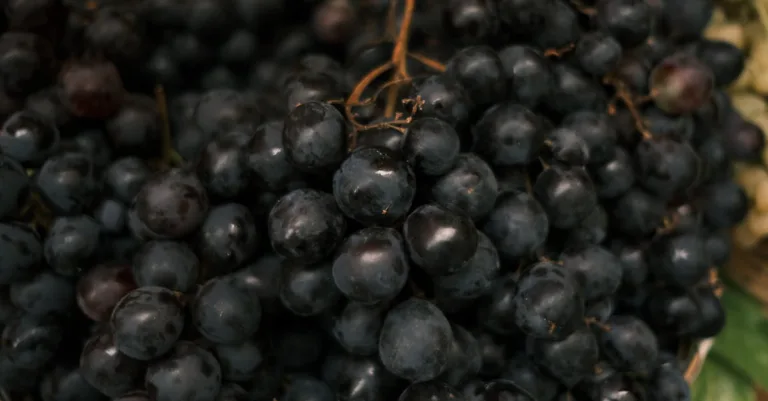 découvrez les avantages de la nutrition personnalisée pour améliorer votre santé et votre bien-être grâce à une alimentation adaptée à vos besoins uniques.