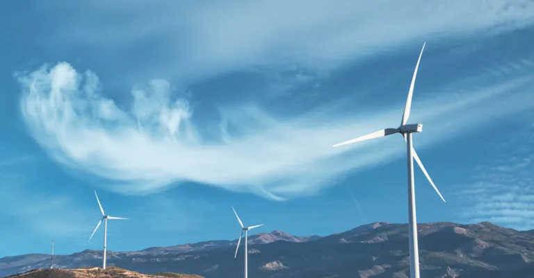 découvrez les réglementations environnementales essentielles pour protéger la planète et assurer un développement durable. informez-vous sur les lois et normes en vigueur.