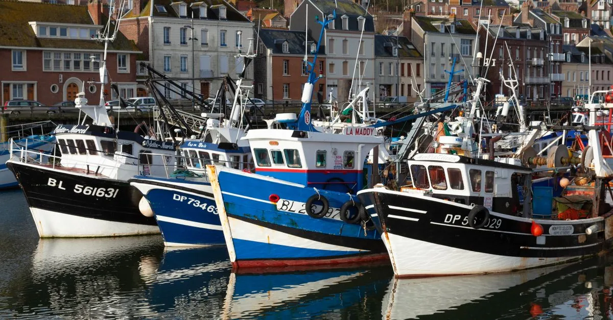 découvrez la cuisine normande, riche en saveurs authentiques et en ingrédients locaux comme le fromage, le cidre et les fruits de mer, pour un voyage gastronomique unique en normandie.