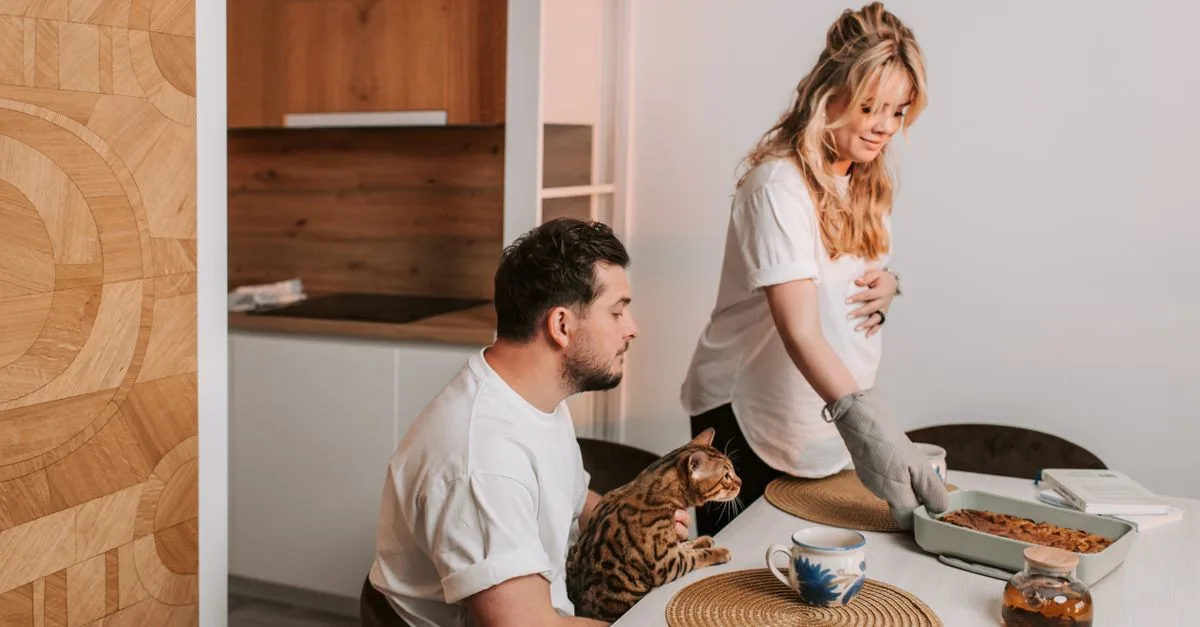 découvrez des conseils pratiques pour une cohabitation harmonieuse entre vos chats et profitez d'un foyer apaisé et convivial.