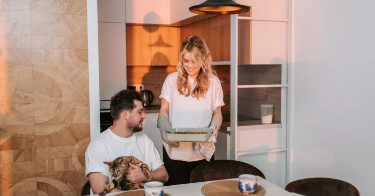 découvrez des conseils pratiques pour une cohabitation harmonieuse avec votre chat et profitez d'une relation équilibrée et heureuse.
